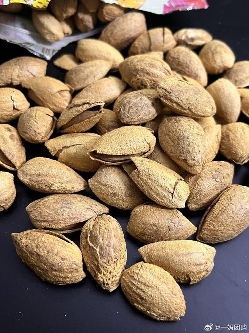 《新疆溯源 | 坚果干果大合集》