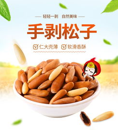 新货松子 干果中的自然馈赠与营养享受
